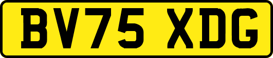 BV75XDG