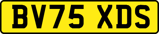 BV75XDS