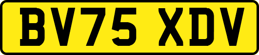 BV75XDV