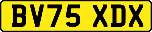 BV75XDX