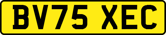 BV75XEC