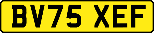 BV75XEF