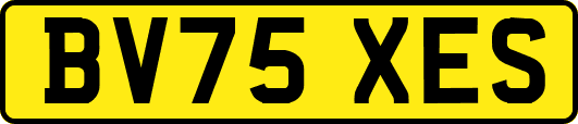 BV75XES