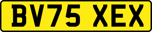 BV75XEX