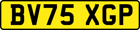 BV75XGP