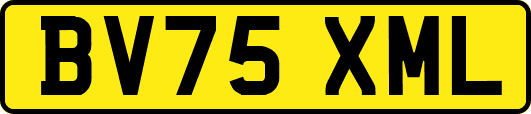 BV75XML