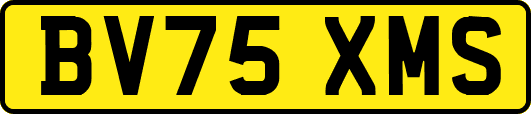 BV75XMS