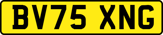 BV75XNG