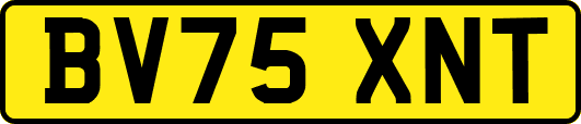 BV75XNT