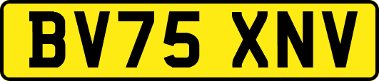 BV75XNV