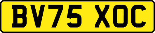 BV75XOC