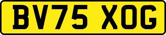 BV75XOG
