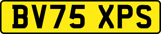 BV75XPS