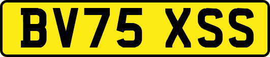 BV75XSS