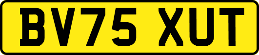 BV75XUT