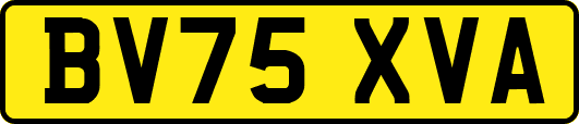 BV75XVA