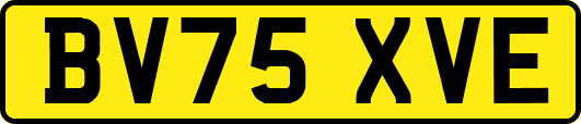 BV75XVE