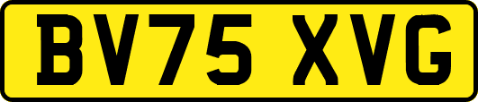 BV75XVG