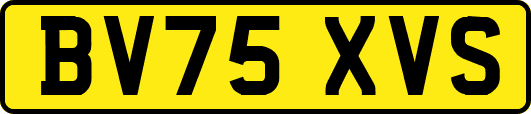 BV75XVS