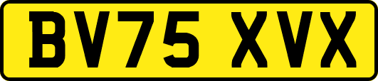 BV75XVX