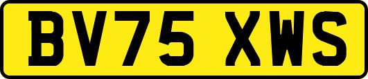BV75XWS