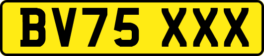 BV75XXX