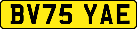 BV75YAE