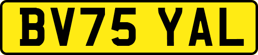 BV75YAL
