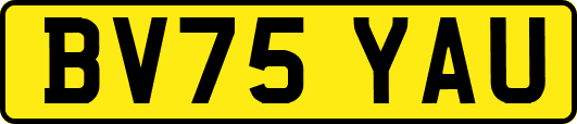 BV75YAU