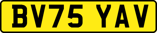 BV75YAV