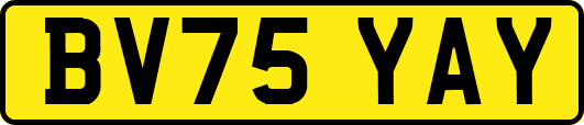 BV75YAY