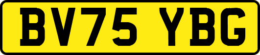 BV75YBG