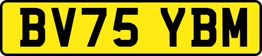 BV75YBM