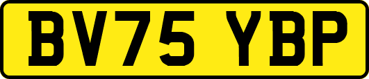 BV75YBP