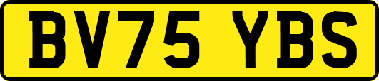 BV75YBS
