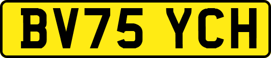 BV75YCH