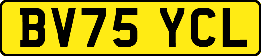 BV75YCL