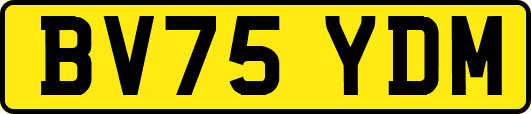 BV75YDM