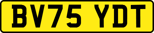 BV75YDT