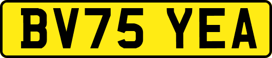 BV75YEA
