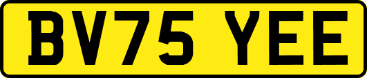 BV75YEE