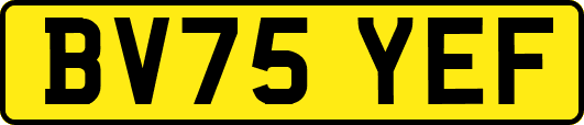 BV75YEF