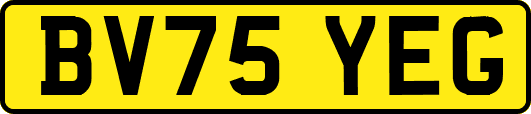 BV75YEG