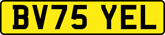 BV75YEL