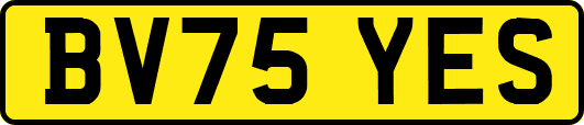 BV75YES
