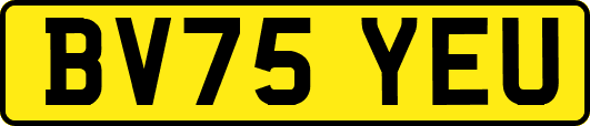 BV75YEU