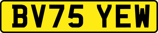 BV75YEW
