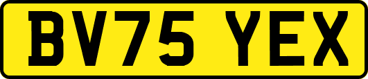 BV75YEX