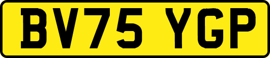 BV75YGP