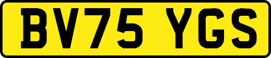 BV75YGS